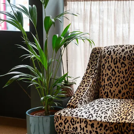 The Maker Boutique Dungarvan (Waterford)