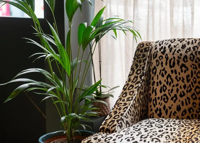 The Maker Boutique Dungarvan (Waterford)